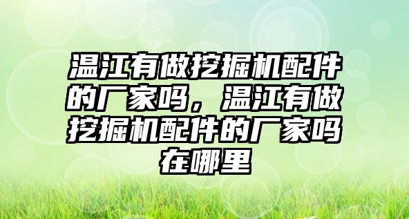 溫江有做挖掘機配件的廠家嗎，溫江有做挖掘機配件的廠家嗎在哪里