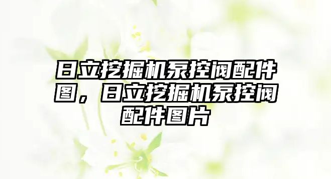 日立挖掘機泵控閥配件圖，日立挖掘機泵控閥配件圖片