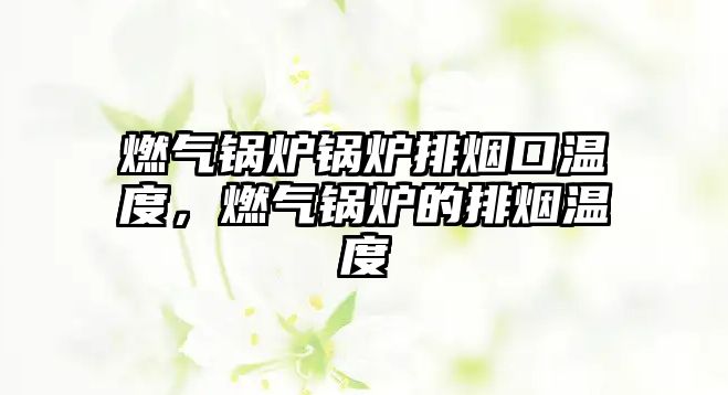 燃?xì)忮仩t鍋爐排煙口溫度，燃?xì)忮仩t的排煙溫度