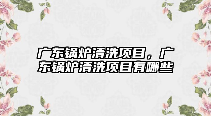 廣東鍋爐清洗項目，廣東鍋爐清洗項目有哪些