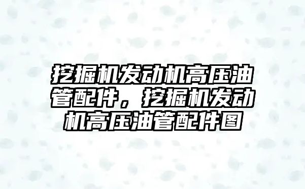 挖掘機發(fā)動機高壓油管配件，挖掘機發(fā)動機高壓油管配件圖