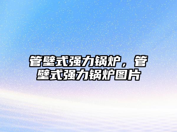 管壁式強(qiáng)力鍋爐，管壁式強(qiáng)力鍋爐圖片