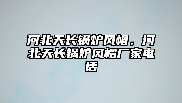 河北天長鍋爐風帽，河北天長鍋爐風帽廠家電話