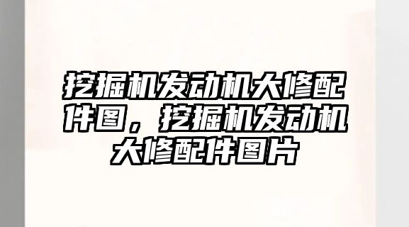 挖掘機發(fā)動機大修配件圖，挖掘機發(fā)動機大修配件圖片