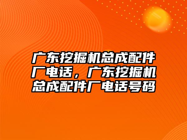 廣東挖掘機(jī)總成配件廠電話，廣東挖掘機(jī)總成配件廠電話號(hào)碼