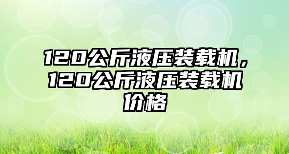 120公斤液壓裝載機(jī)，120公斤液壓裝載機(jī)價(jià)格