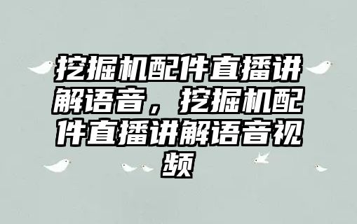 挖掘機配件直播講解語音，挖掘機配件直播講解語音視頻