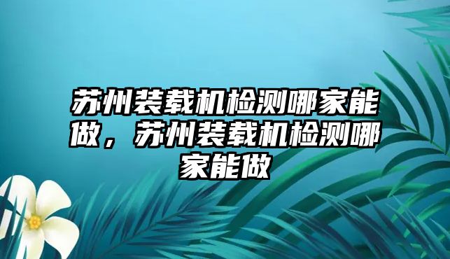 蘇州裝載機檢測哪家能做，蘇州裝載機檢測哪家能做