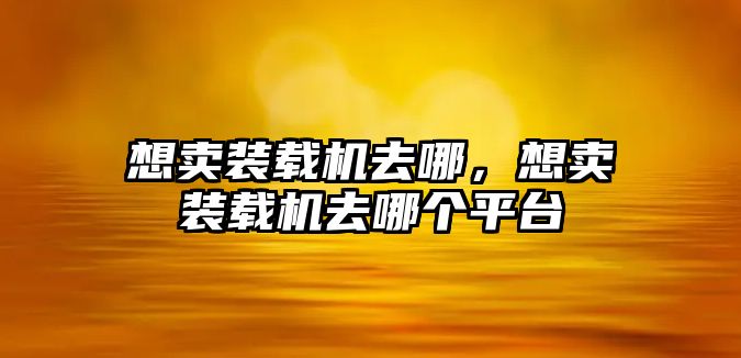 想賣裝載機去哪，想賣裝載機去哪個平臺