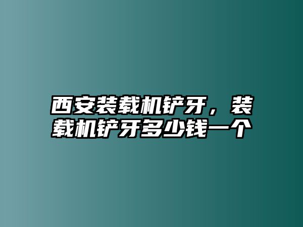 西安裝載機(jī)鏟牙，裝載機(jī)鏟牙多少錢一個(gè)