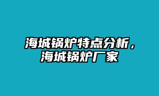 海城鍋爐特點分析，海城鍋爐廠家