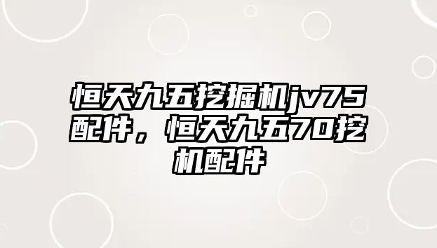 恒天九五挖掘機jv75配件，恒天九五70挖機配件