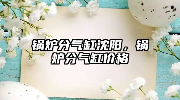 鍋爐分氣缸沈陽，鍋爐分氣缸價格