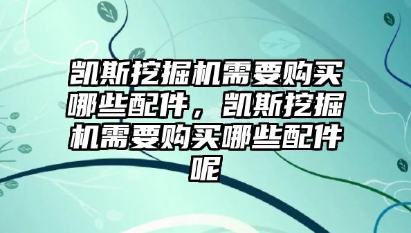 凱斯挖掘機需要購買哪些配件，凱斯挖掘機需要購買哪些配件呢