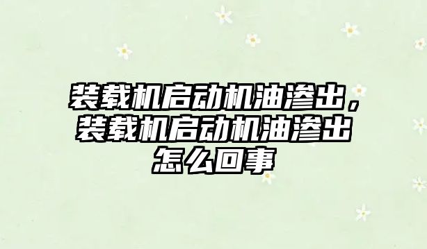 裝載機啟動機油滲出，裝載機啟動機油滲出怎么回事