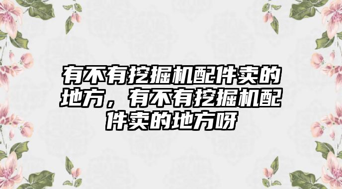 有不有挖掘機配件賣的地方，有不有挖掘機配件賣的地方呀