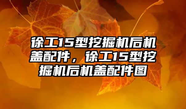 徐工15型挖掘機后機蓋配件，徐工15型挖掘機后機蓋配件圖