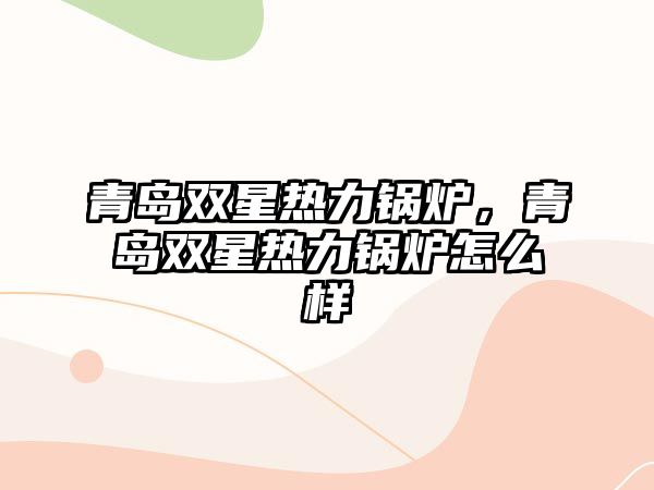 青島雙星熱力鍋爐，青島雙星熱力鍋爐怎么樣