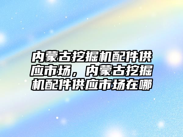 內(nèi)蒙古挖掘機配件供應市場，內(nèi)蒙古挖掘機配件供應市場在哪