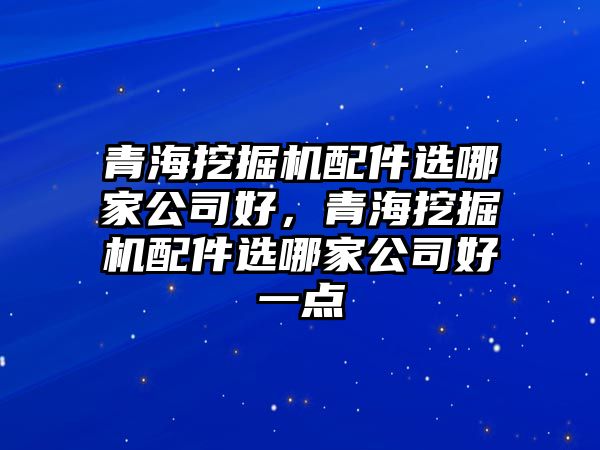 青海挖掘機配件選哪家公司好，青海挖掘機配件選哪家公司好一點