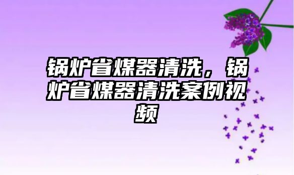 鍋爐省煤器清洗，鍋爐省煤器清洗案例視頻