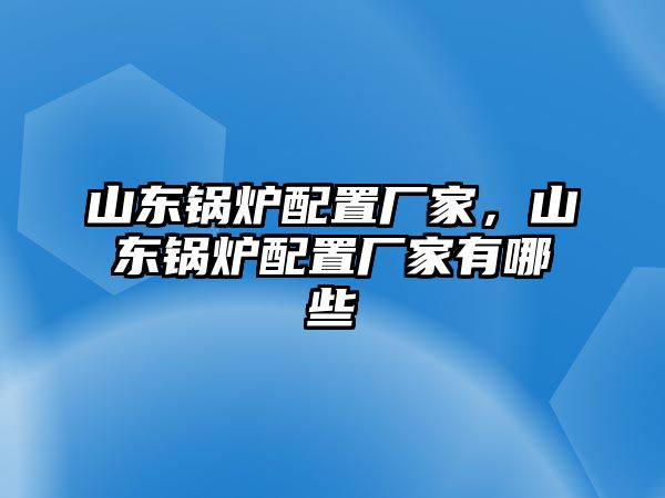 山東鍋爐配置廠家，山東鍋爐配置廠家有哪些