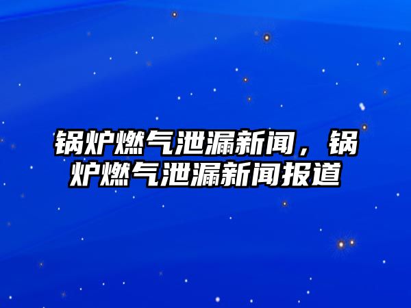 鍋爐燃?xì)庑孤┬侣?，鍋爐燃?xì)庑孤┬侣剤?bào)道