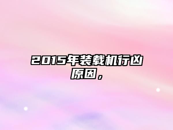 2015年裝載機行兇原因，