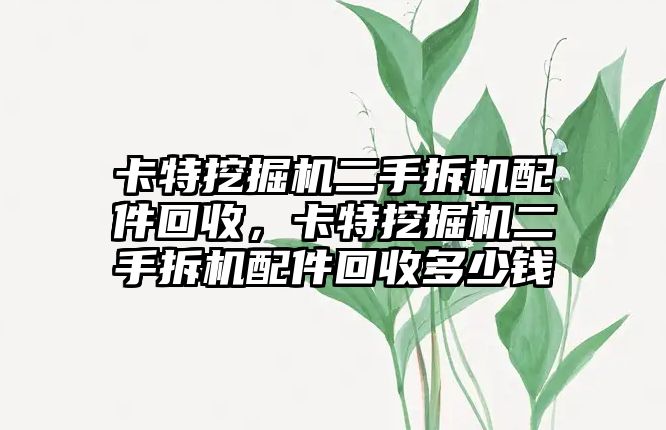 卡特挖掘機二手拆機配件回收，卡特挖掘機二手拆機配件回收多少錢