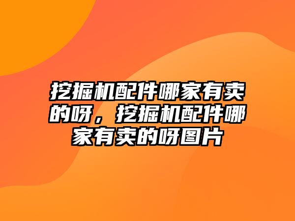 挖掘機(jī)配件哪家有賣的呀，挖掘機(jī)配件哪家有賣的呀圖片