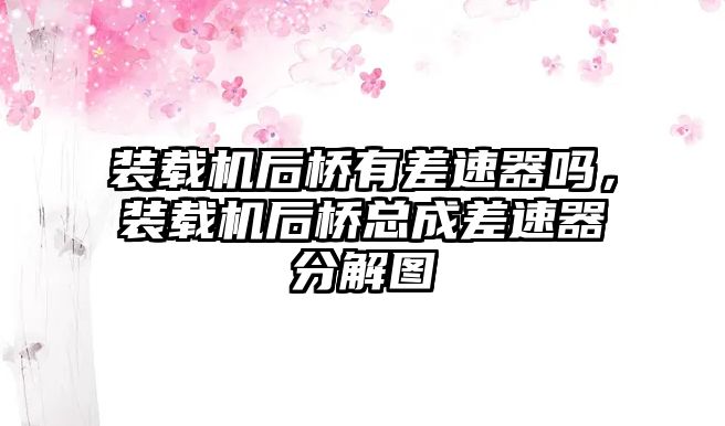 裝載機(jī)后橋有差速器嗎，裝載機(jī)后橋總成差速器分解圖