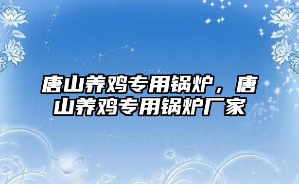 唐山養(yǎng)雞專用鍋爐，唐山養(yǎng)雞專用鍋爐廠家