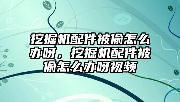 挖掘機配件被偷怎么辦呀，挖掘機配件被偷怎么辦呀視頻