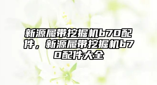 新源履帶挖掘機b70配件，新源履帶挖掘機b70配件大全