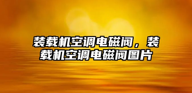 裝載機空調電磁閥，裝載機空調電磁閥圖片