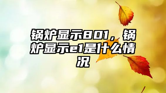 鍋爐顯示801，鍋爐顯示e1是什么情況