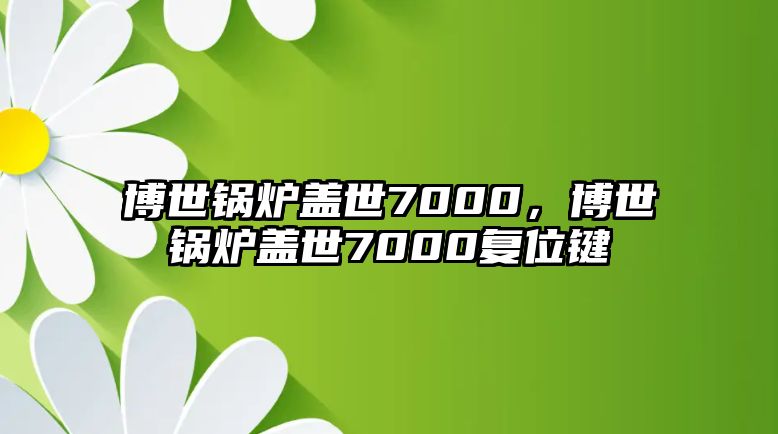 博世鍋爐蓋世7000，博世鍋爐蓋世7000復(fù)位鍵