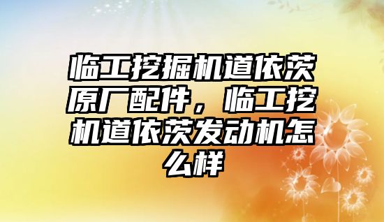 臨工挖掘機道依茨原廠配件，臨工挖機道依茨發(fā)動機怎么樣