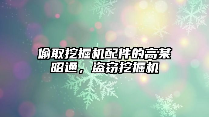 偷取挖掘機配件的高某昭通，盜竊挖掘機