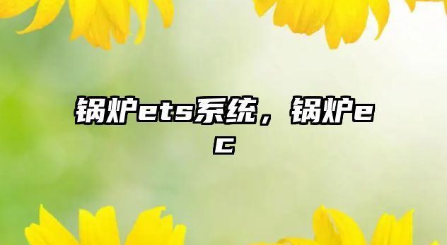 鍋爐ets系統(tǒng)，鍋爐ec