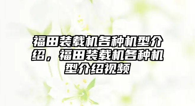 福田裝載機各種機型介紹，福田裝載機各種機型介紹視頻