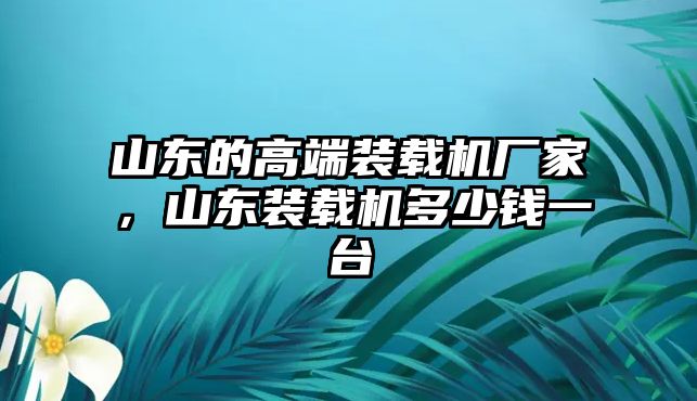 山東的高端裝載機廠家，山東裝載機多少錢一臺