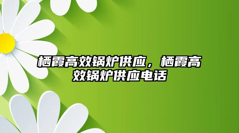 棲霞高效鍋爐供應(yīng)，棲霞高效鍋爐供應(yīng)電話