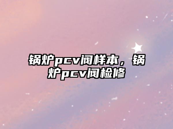 鍋爐pcv閥樣本，鍋爐pcv閥檢修