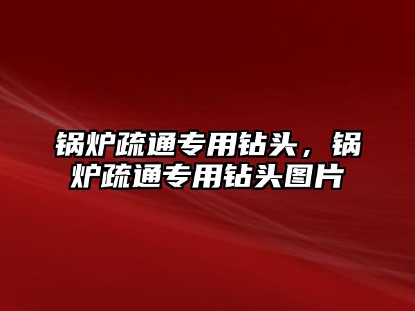 鍋爐疏通專用鉆頭，鍋爐疏通專用鉆頭圖片