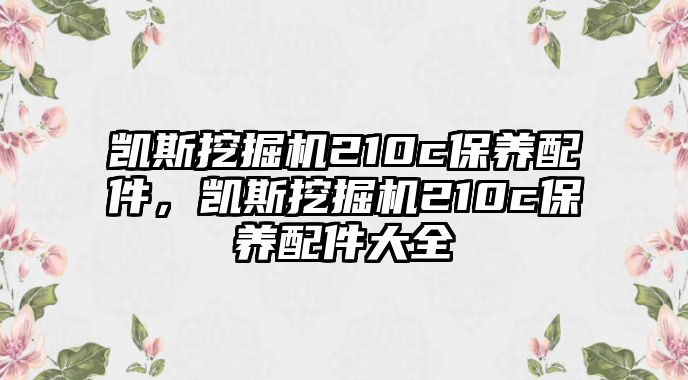 凱斯挖掘機(jī)210c保養(yǎng)配件，凱斯挖掘機(jī)210c保養(yǎng)配件大全