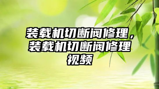 裝載機(jī)切斷閥修理，裝載機(jī)切斷閥修理視頻