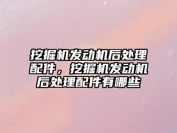 挖掘機發(fā)動機后處理配件，挖掘機發(fā)動機后處理配件有哪些