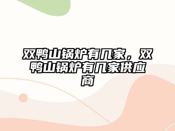 雙鴨山鍋爐有幾家，雙鴨山鍋爐有幾家供應(yīng)商