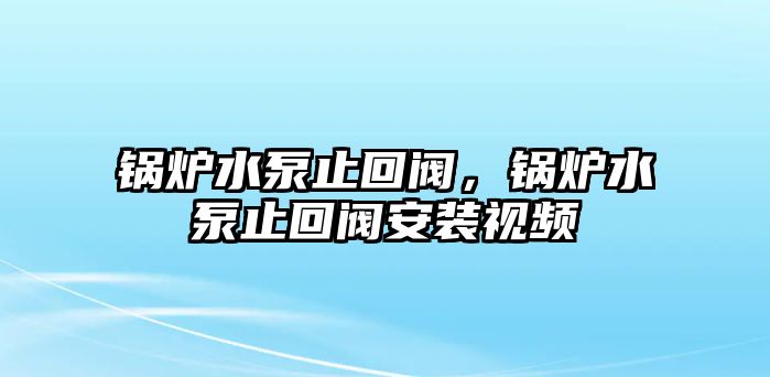 鍋爐水泵止回閥，鍋爐水泵止回閥安裝視頻